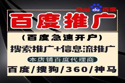 电商成功案例：竞价推广助力品牌崛起